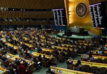 CHILE GANA ESCAÑO EN EL CONSEJO DE DERECHOS HUMANOS DE LA ONU