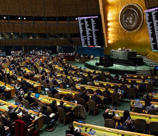 CHILE GANA ESCAÑO EN EL CONSEJO DE DERECHOS HUMANOS DE LA ONU