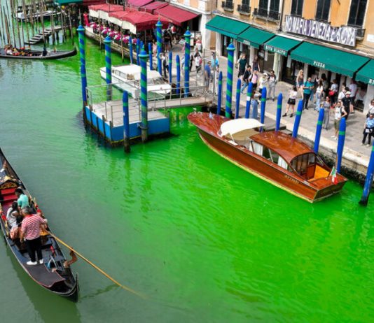 AGUA DEL GRAN CANAL DE VENECIA SORPRENDIÓ CON UN MISTERIOSO VERDE FLUORESCENTE