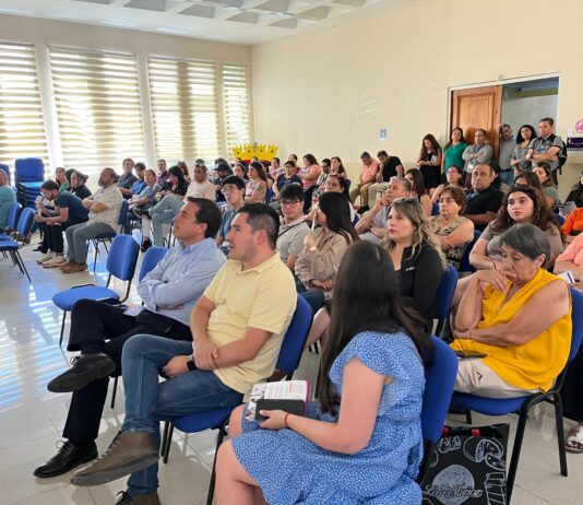 Municipio de Los Andes presentó protocolo para aplicación de la Ley Karin